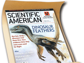 Scientific American"ın Dino-Kuş Yanılgıları