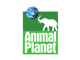 Animal Planet ""Doğal Kıyaslama-Natural Comparisons""