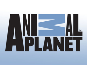 Animal Planet ""Dünyanın Sonundaki Böcekler""