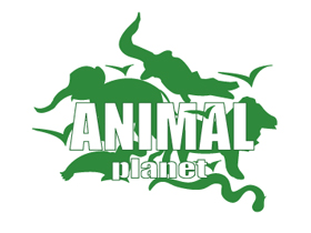Animal Planet ""Natural Comparisons: Poles Apart""