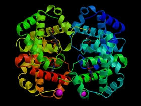 Proteinlerin Oluşumunu Açıklayamayan Darwinistlerin Protein Üzerine Sahte Spekülasyonları