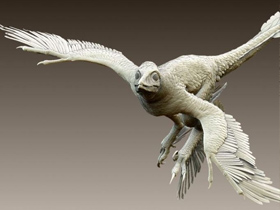 Darwinistlerin Dino-Kuş Aldatmacasını Yaşatmak İçin Son Çırpınışları