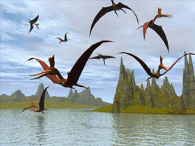 Darwinist Çaresizliğin Yeni İsmi: Modüler Evrim Ve Mükemmel Bir Uçucu Kuş: DARWINOPTERUS