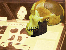 Darwinizm"e Delil Gösterilmeye Çalışılan Tüm Kafatası Fosilleri Sahtedir