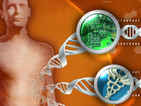   Why is the New York Times' claim about the creation of an artificial human genome unreasonable? 