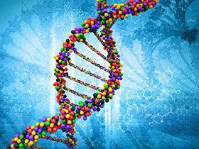 Michael Skinner’e cevap: Epigenom DNAya YENİ BİLGİ SAĞLAMAZ