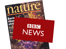 Nature ve BBC’den insanın sözde evrim senaryosunu çürüten haber 