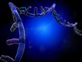 Contrary to expectations of the evolutionists, the RNA world now proves creation