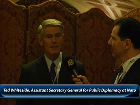 Ted Whiteside, NATO Halk Diplomasisi Departmanında Genel Sekreter Asistanı