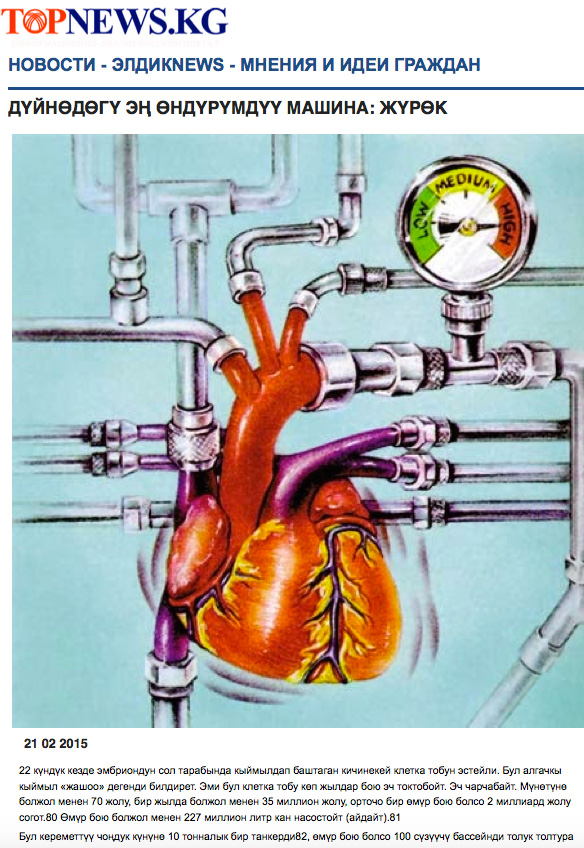 Dünyadaki en verimli makine: kalp