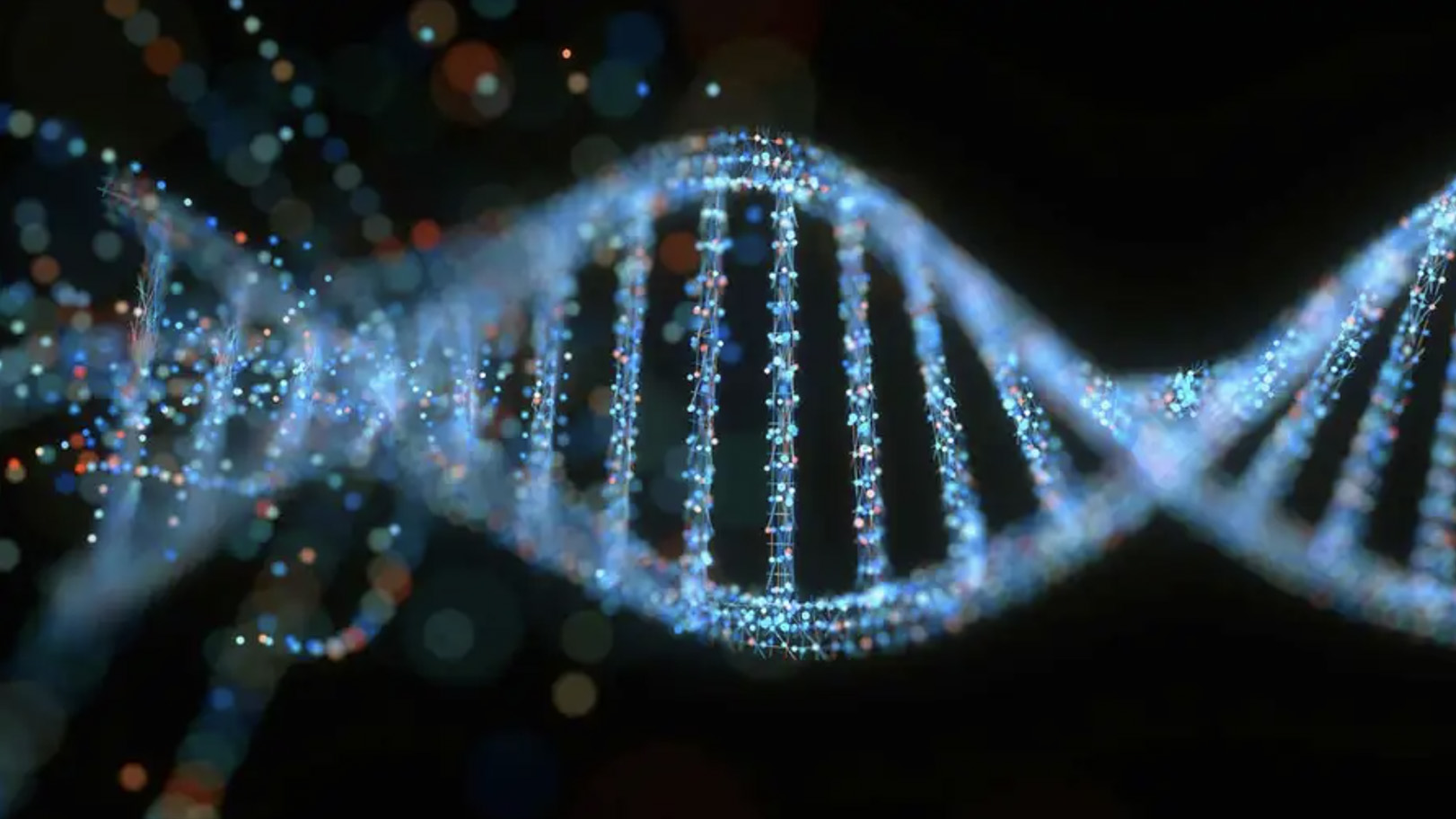 DNA’nın Yapısı Kuran’da İnsan Suresi’nde Tarif Edi