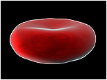 Kan Hücresi Üreten Makine: Kemik İliği