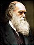 Tüm Zamanların En Büyük Yanılgısı: Darwinizm