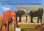 Technology in nature - The miracle of creation in elephants