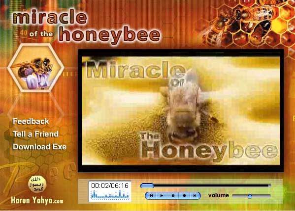 The miracle of the honeybee