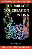 The Miracle Of Creation In DNA