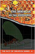The Miracle In The Honeybee