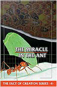 The Miracle In The Ant