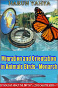 Migration and Orientation in Animals Birds - Monar