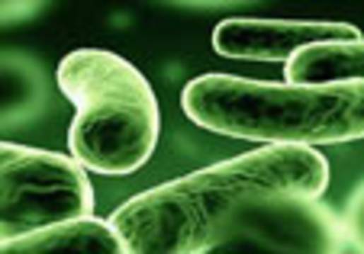 Bakterilerde antibiyotik direnci