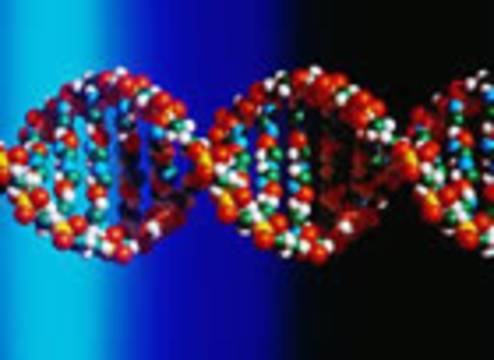 DNA'NIN PAKETLENEREK KROMOZOM HALİNE GELMESİ