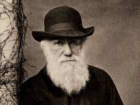 Charles Darwin'in (İngiliz Doğabilimci) Evrenin Mükemmelliğinin Bir Yaratan'ı Olduğu İle İlgili İtirafı