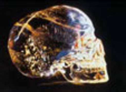 Kristal kafataslarında kullanılan teknolojinin sır
