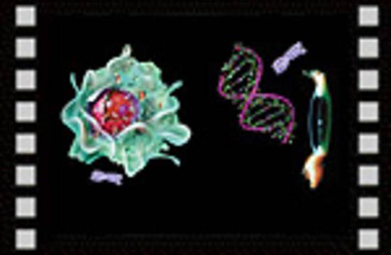 Le miracle de l'organisation de la cellule - les preuves biochimiques de la création