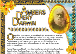 Ambers Deny Darwin