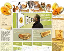 Fossil - Museum