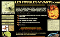 Les fossiles vivants
