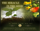 The Miracle in the Seed