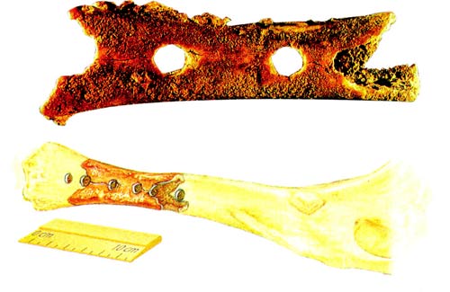 Neandertallere ait flüt kalıntısı