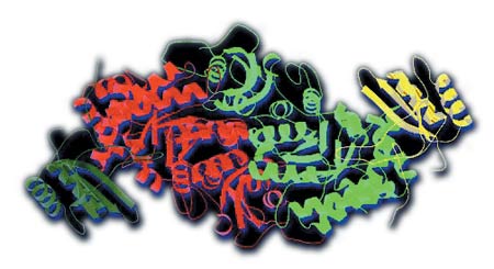 Bir proteinin üç boyutlu yapısı