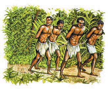 Köleleştirilen Afrikalı yerliler