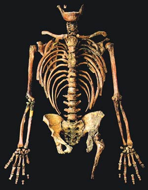 Neandertal ırkına ait bir fosil