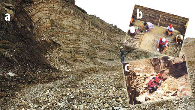 uno degli strati di roccia di Liaoning checontiene fossili