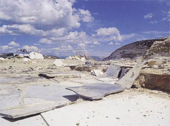 fossil research area in wyoming