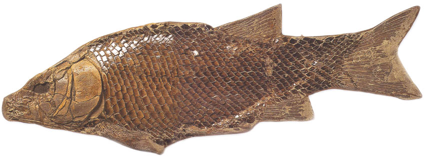 Il Triassico, francobolli, pesce