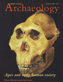 archaeology, evolucıonıstıćka propaganda