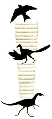 archaeopteryx, ofpandasandpe