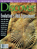 discovery, evolucıonıstıćka propaganda