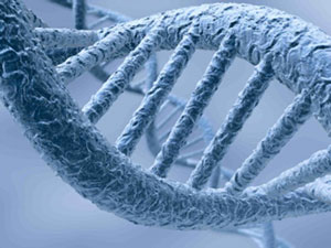 DNK, Čudesni molekul
