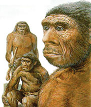 Neandertals, Neandertalci