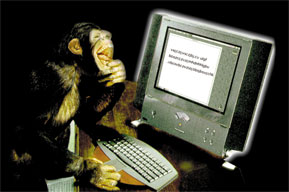 monkey with computer
