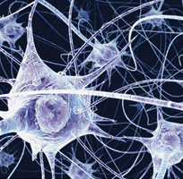 ćelija, neuroni, atomski