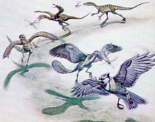 ფრინველთა და ძუძუმწოვართა ფანტასტიკური ევოლუცი