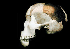 piltdown skull, Piltdownski čovjek