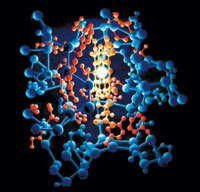 cytochrome c, proteinske molekule