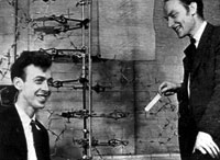 James Watson, Francis Crick